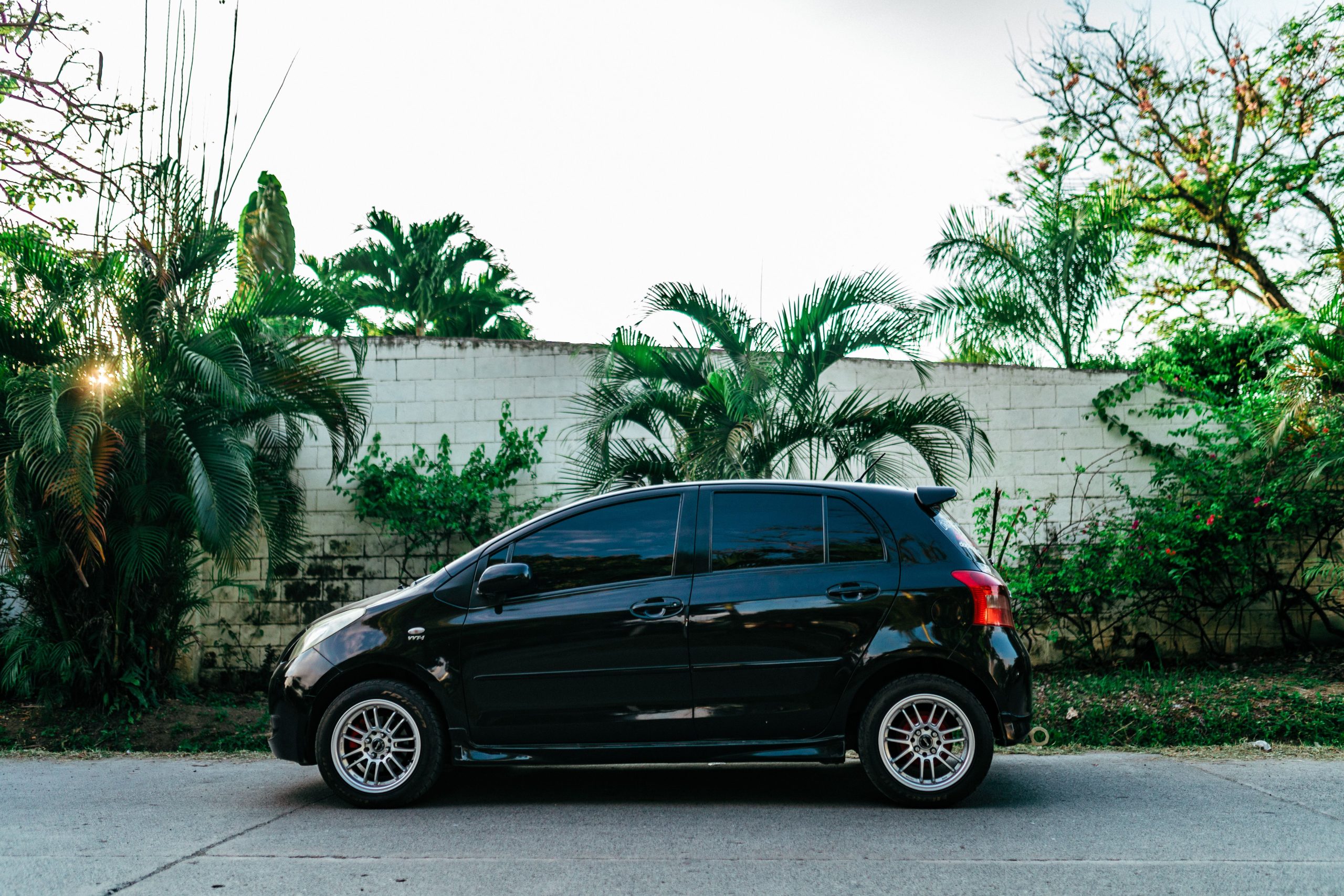 Hatchback noir devant arbres luxuriants urbains